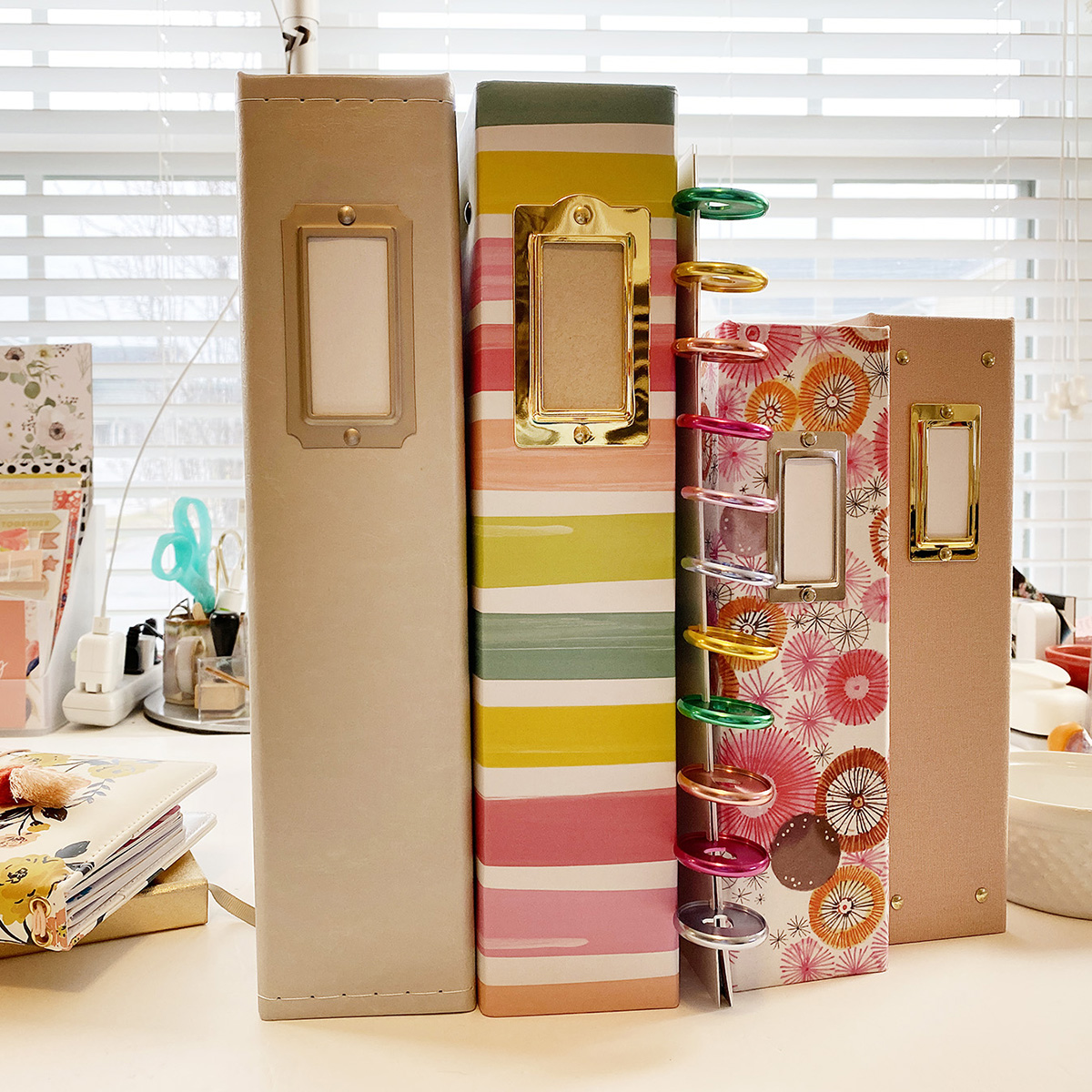 Theresa Moxley - My Plans For Documenting 2021