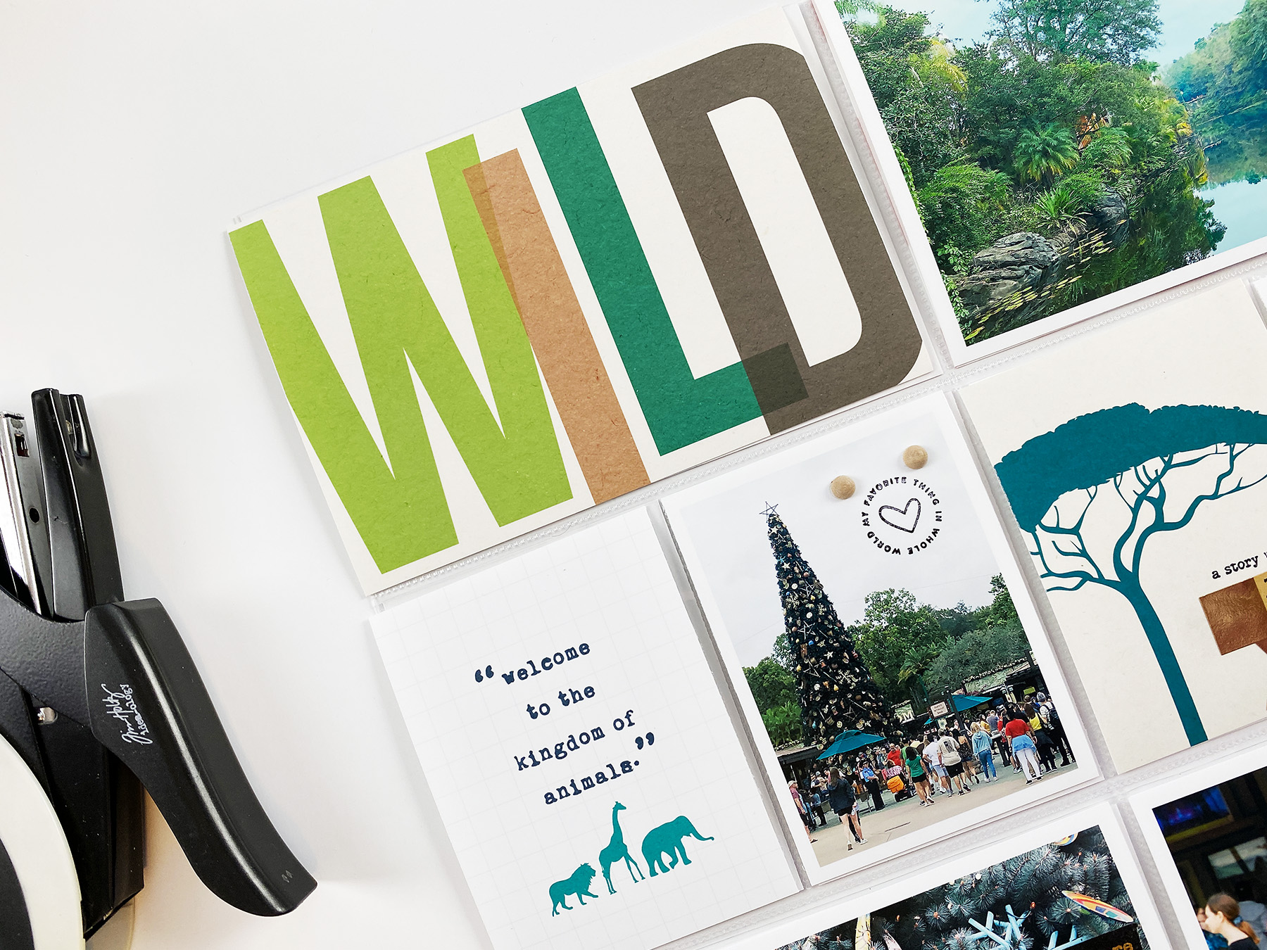 IMP Theme Parks Vol 02 | Documenting Animal Kingdom