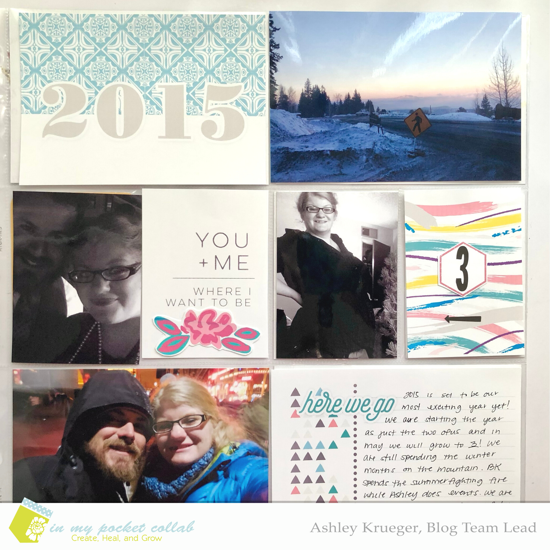 IMP Design Team Ashley Krueger | 2015 Cover Page