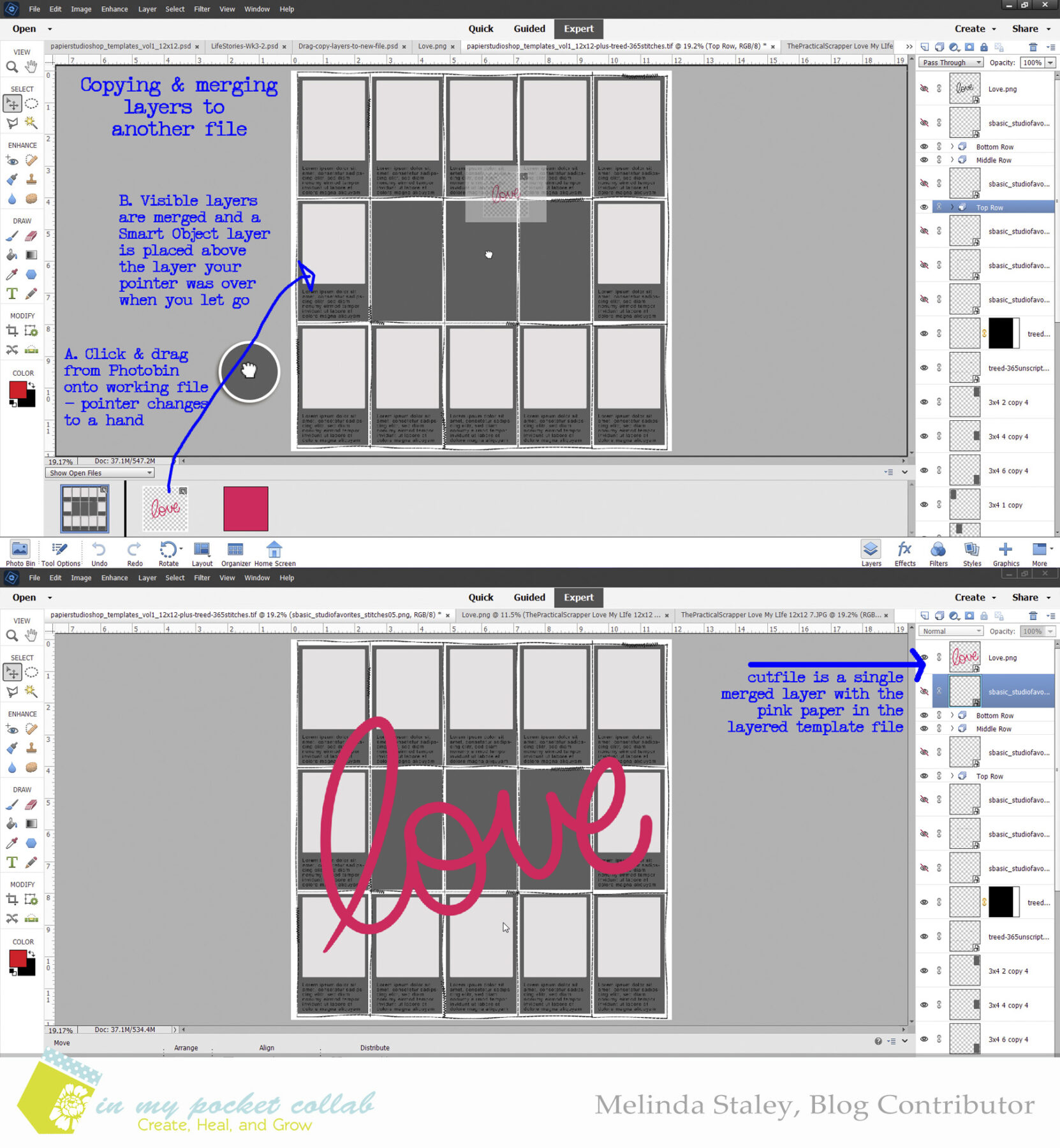 IMP Blog Team Melinda Staley | Week 3 – Customizing a Page Template