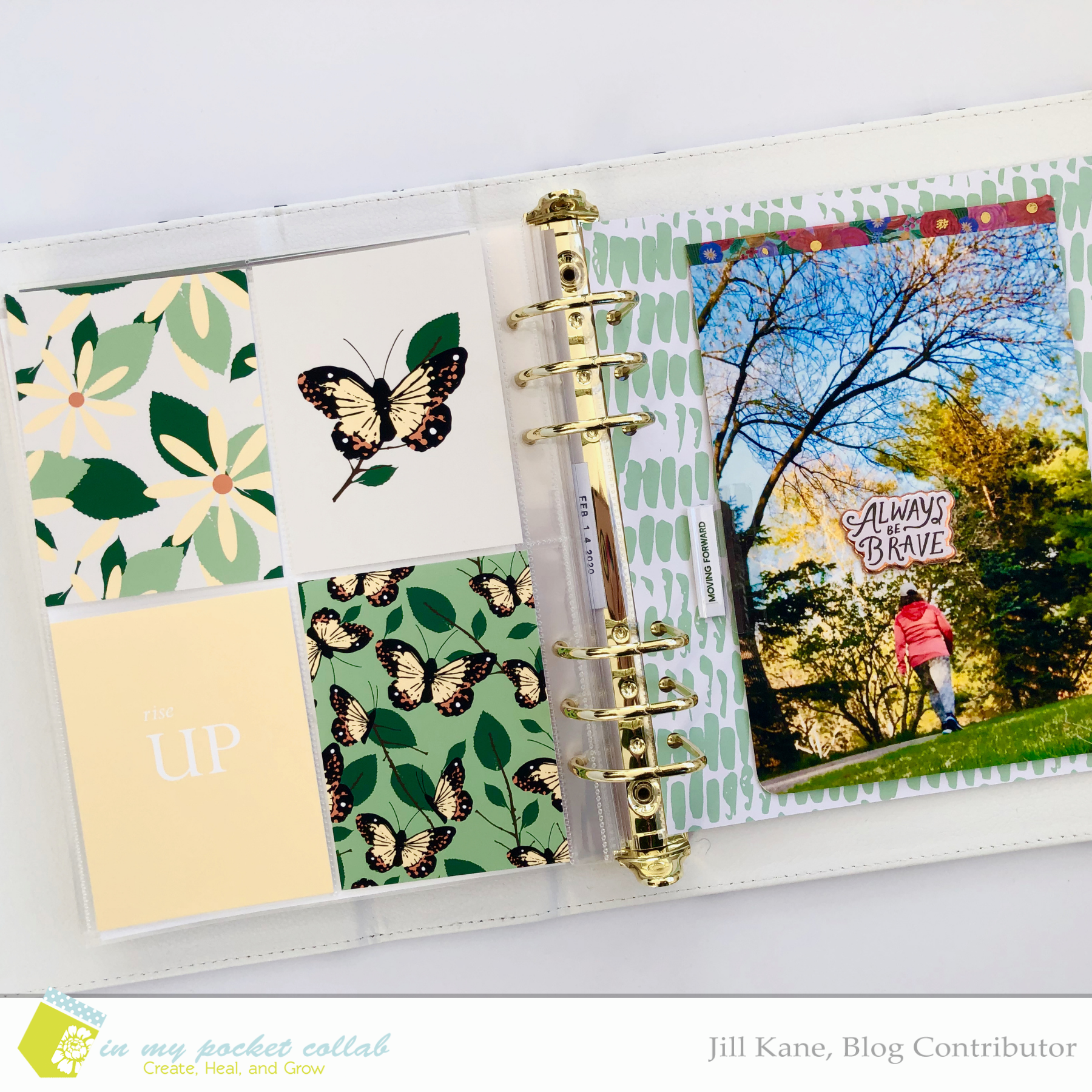 IMP Design Team Jill Kane | Rise Up 1