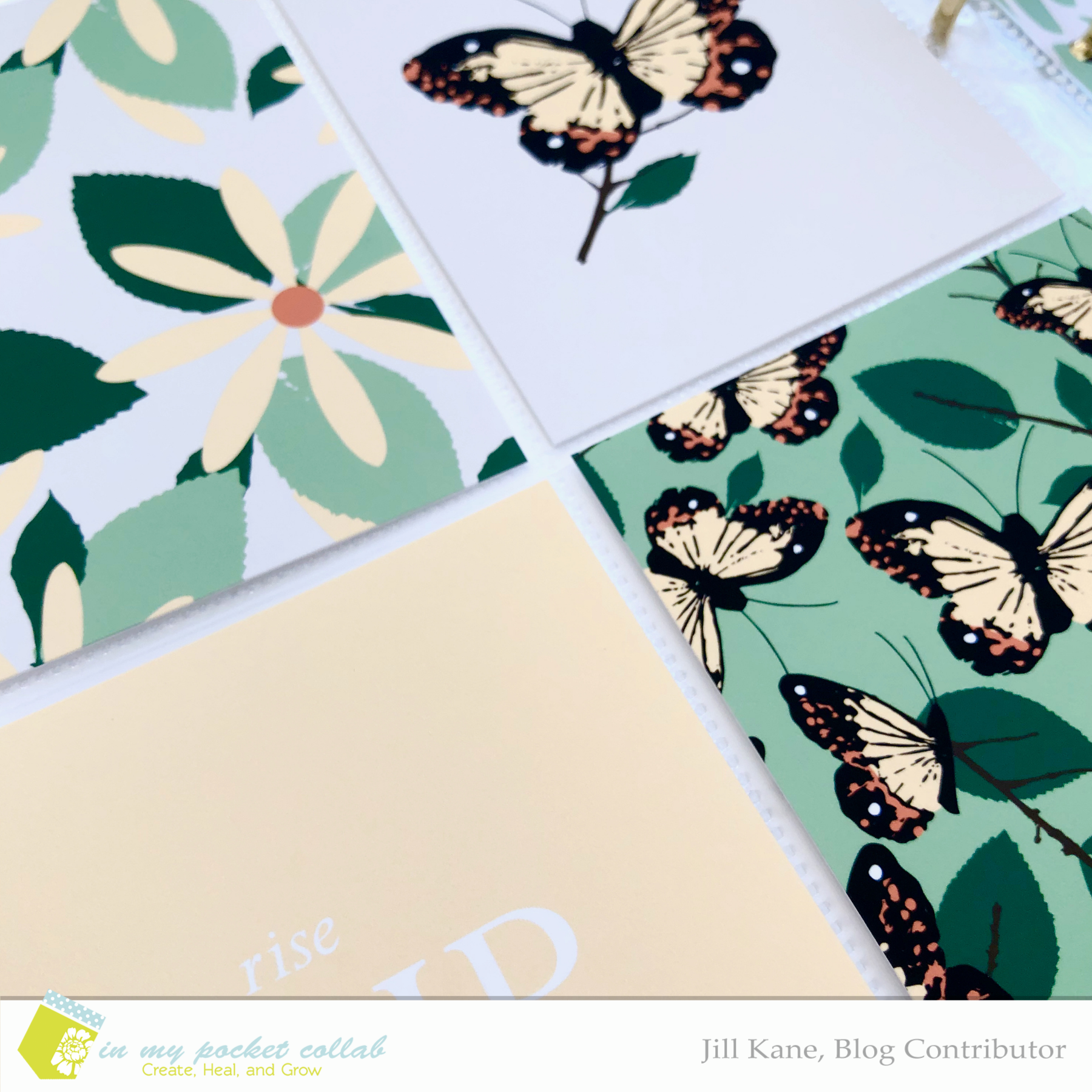 IMP Design Team Jill Kane | Rise Up 2