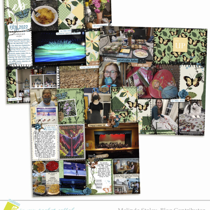 IMP Spring Blog Team Melinda Staley | February pages