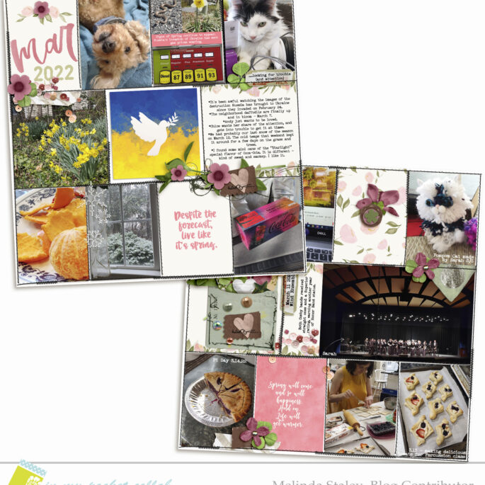 IMP Design Team Melinda Staley | March Pages, Part 1