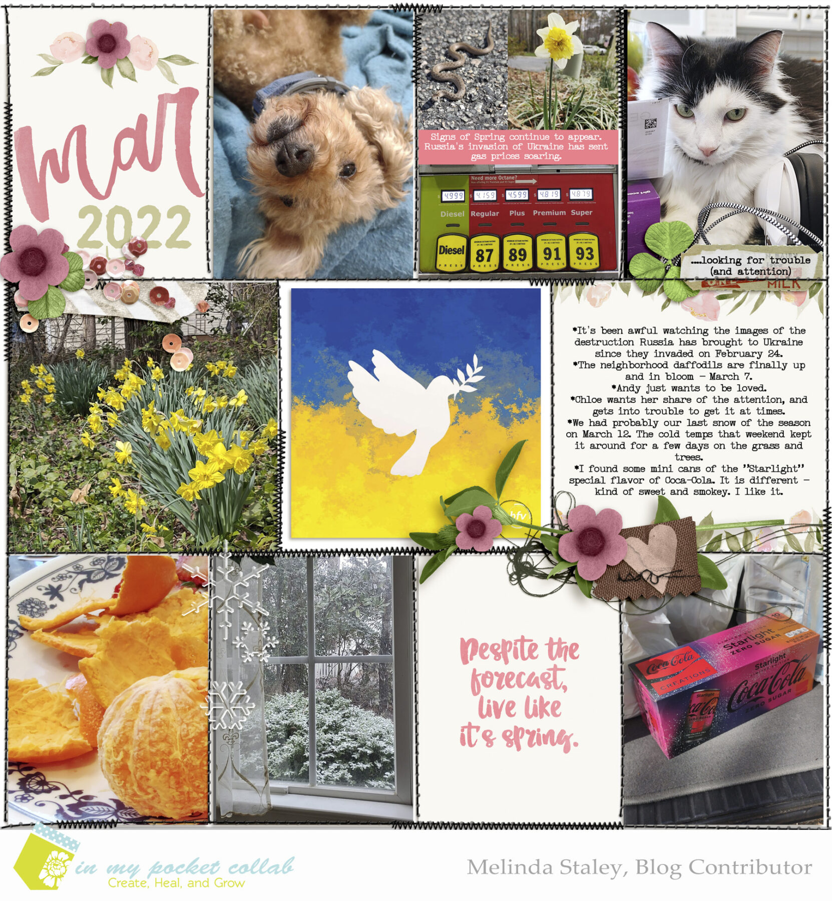 IMP Design Team Melinda Staley | March Pages, Part 1