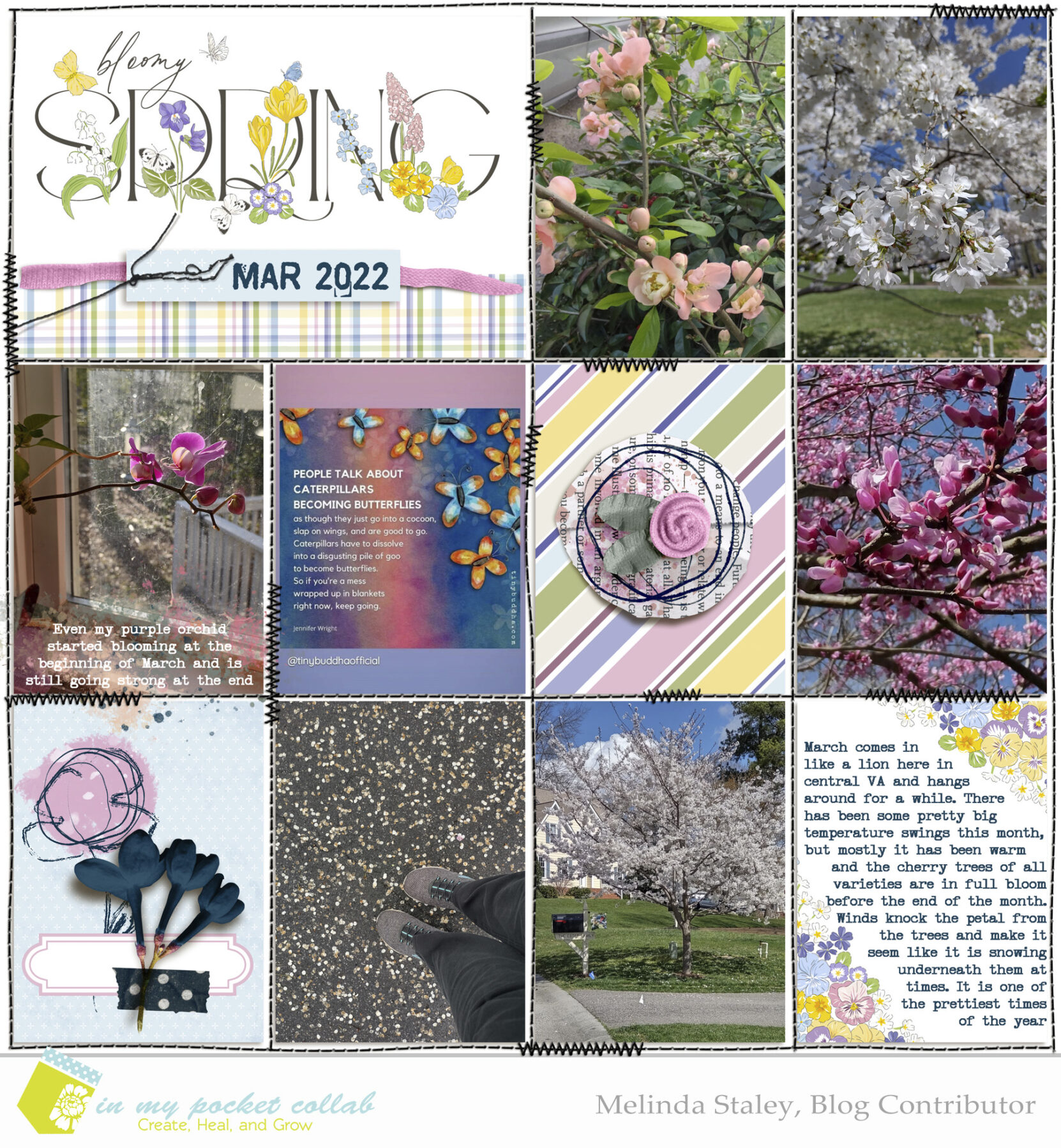 IMP Design Team Melinda Staley | March Pages, Part 2