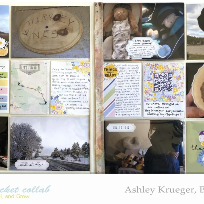 IMP Design Team Ashley Krueger | April 2015 Project Life