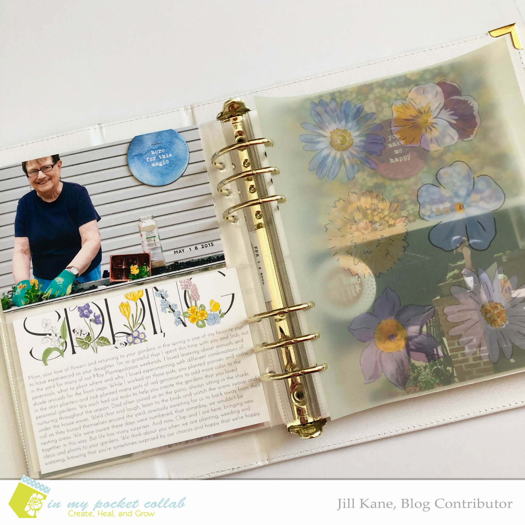 IMP Blog Team Jill Kane | Spring Gardens 1