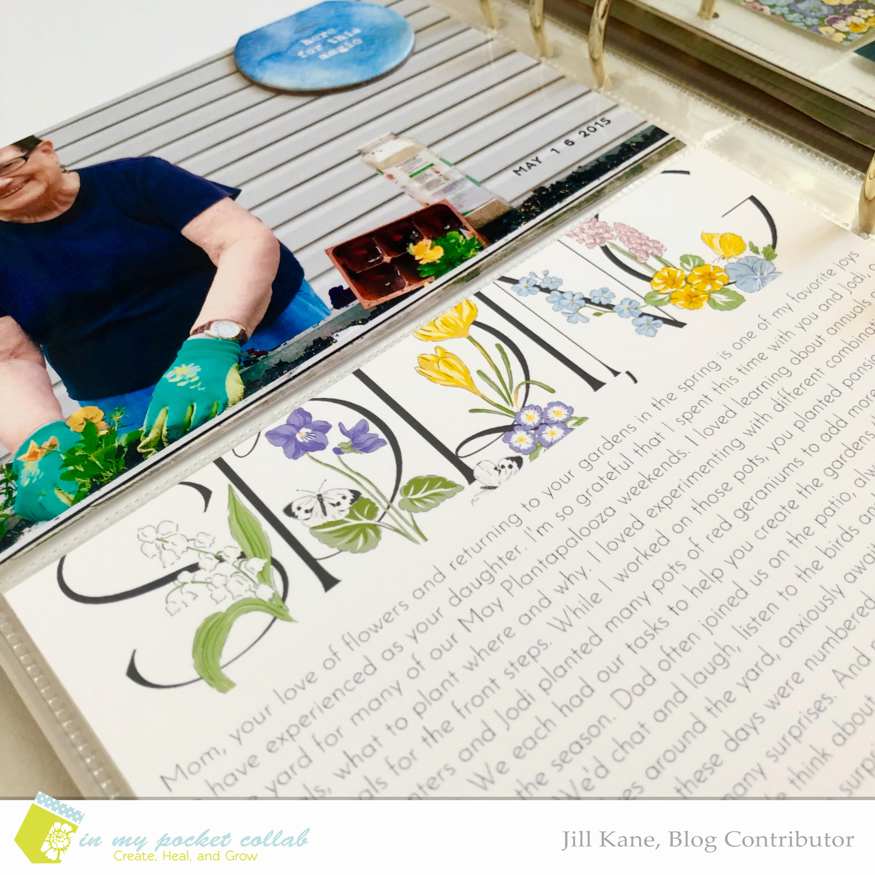 IMP Blog Team Jill Kane | Spring Gardens 3