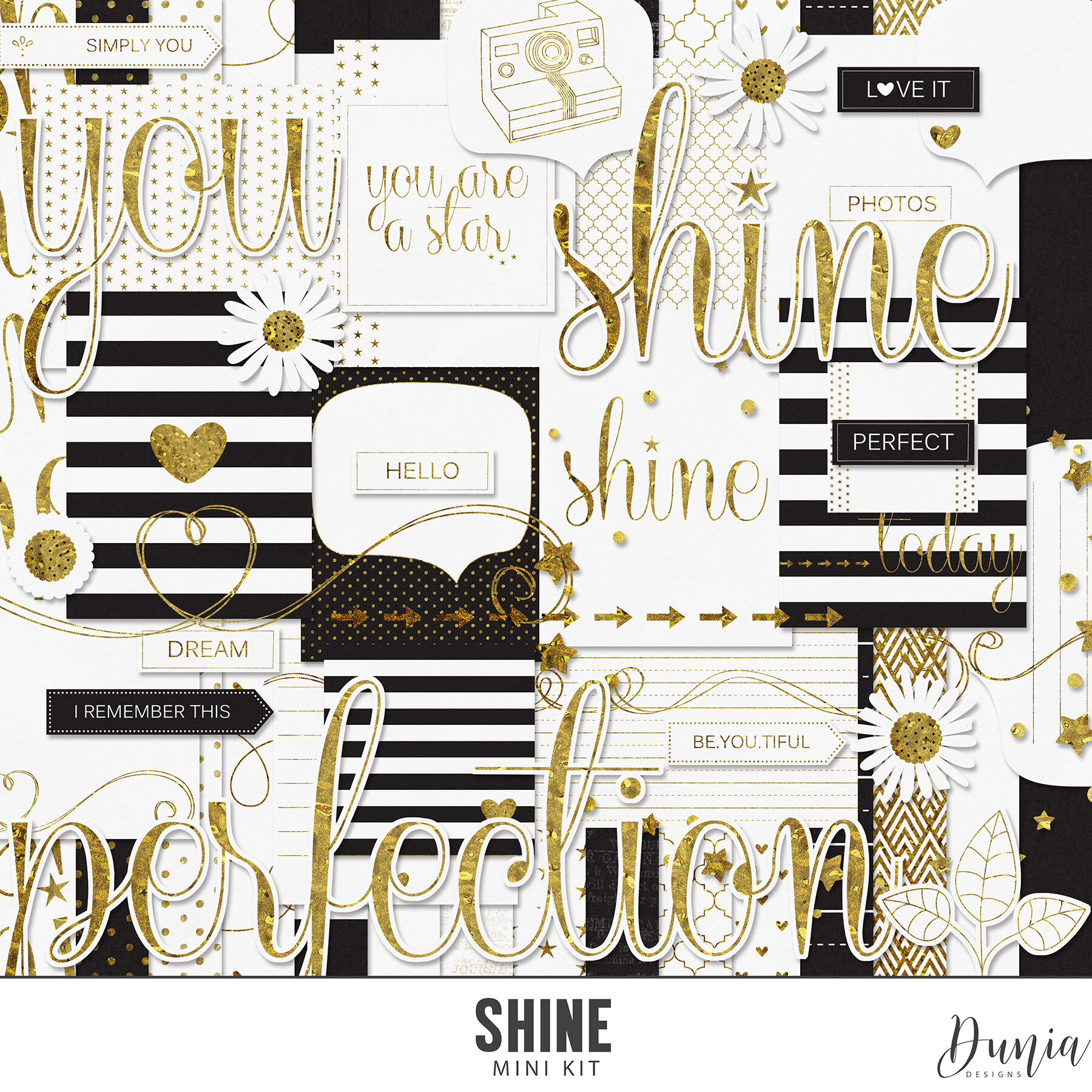 Dunia Designs Shine Digital Kit