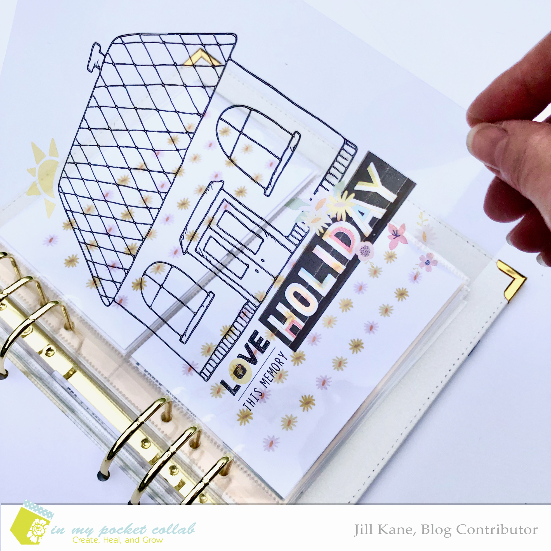 IMP Blog Team Jill Kane | Go Big and Go Home 1