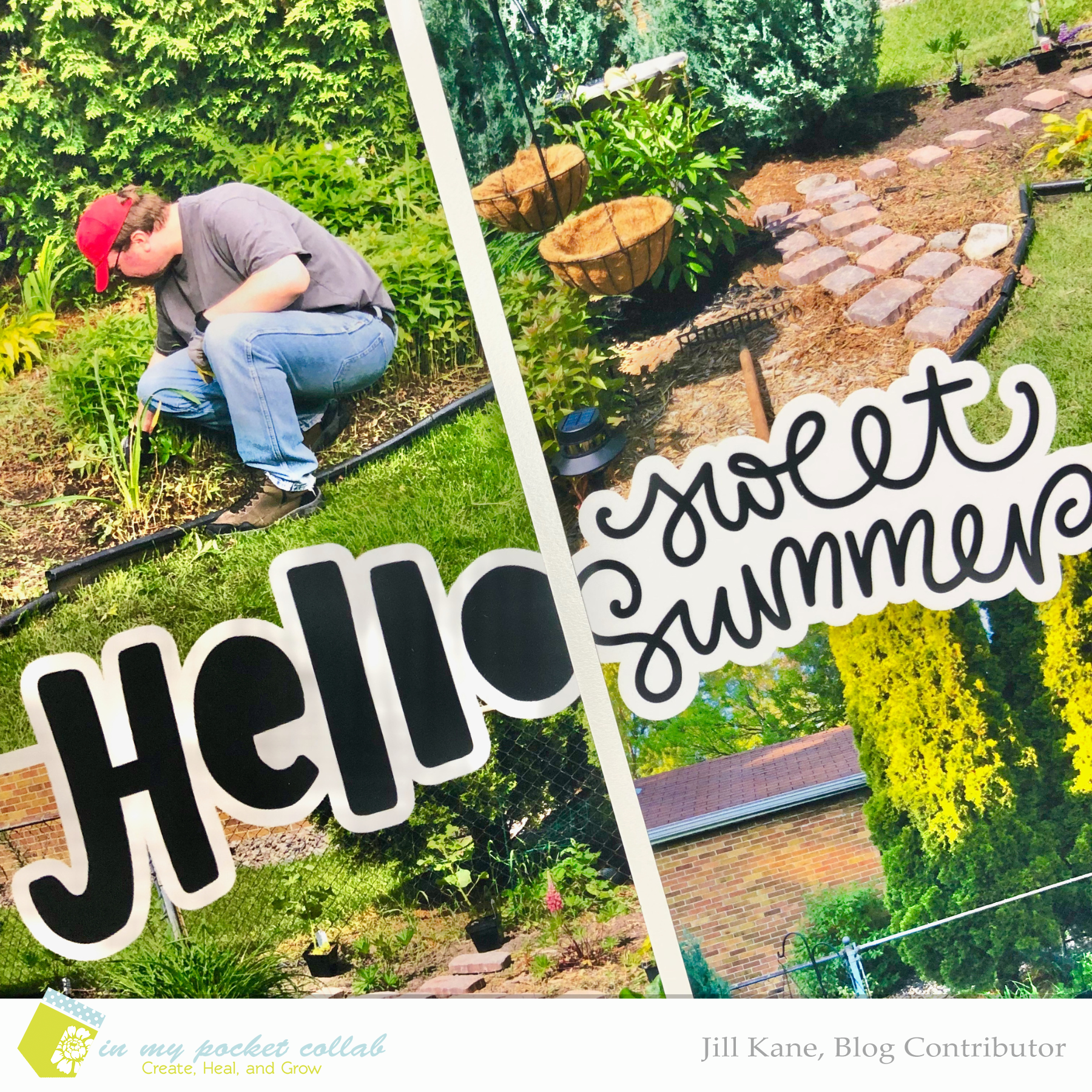 IMP Blog Team Jill Kane | Looks Like a Pocket 4