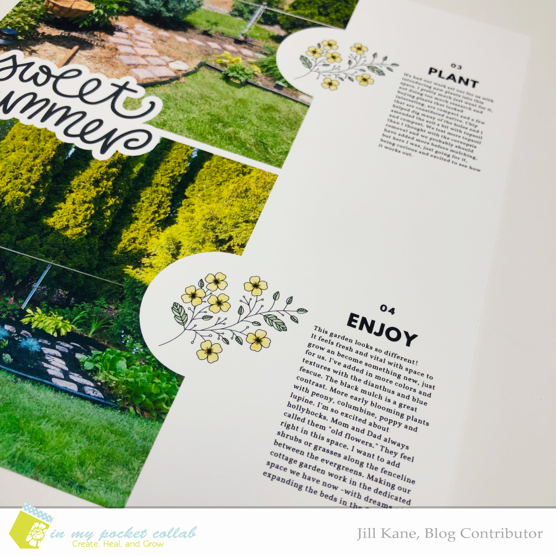 IMP Blog Team Jill Kane | Looks Like a Pocket 3