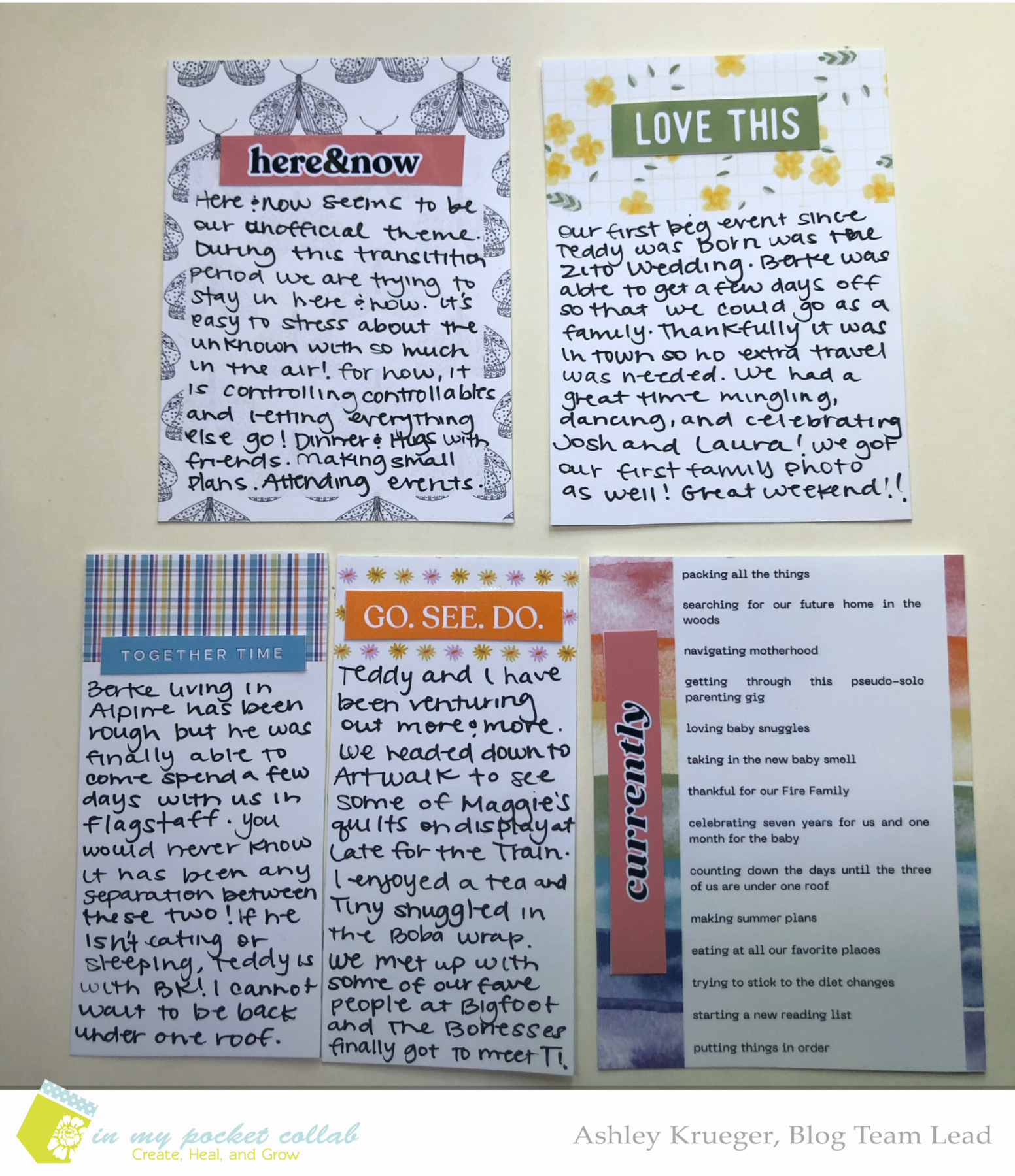 IMP Design Team Ashley Krueger | June 2015 Project Life