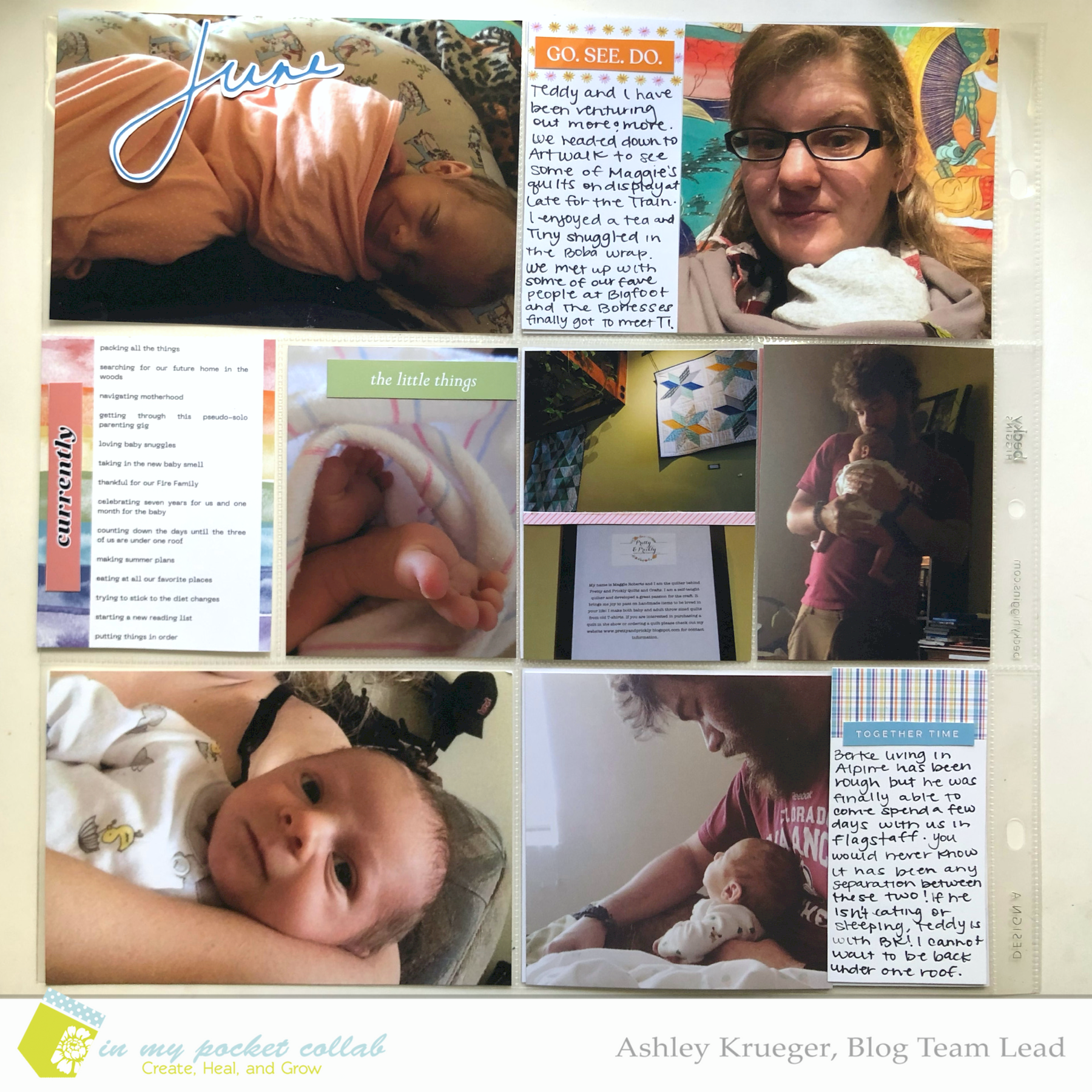 IMP Design Team Ashley Krueger | June 2015 Project Life