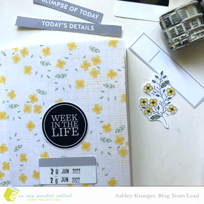 IMP Design Team Ashley Krueger | 2022 Week in the Life